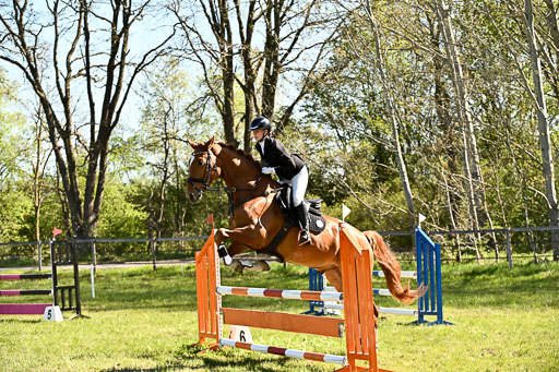  | 26042026 Stilspringen A_101 