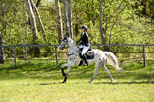  | 26042026 Stilspringen A_142 