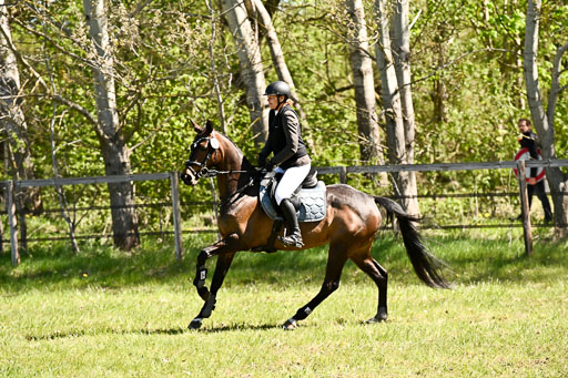 | 26042026 Stilspringen A_308 
