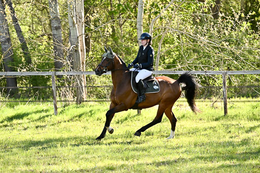  | Stilspringen A 1 _023 