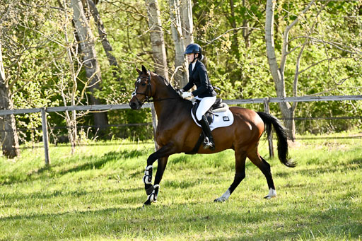  | Stilspringen A 1 _109 