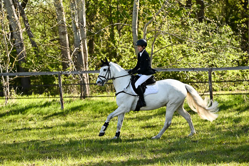  | Stilspringen A 1 _130 