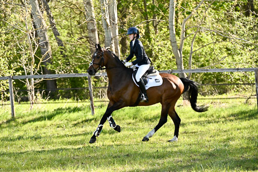  | Stilspringen A 1 _137 