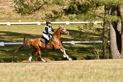  | 11042026 Intro _100 