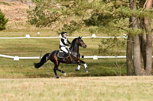 | 11042026 Intro _202 