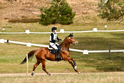  | 11042026 Intro _212 