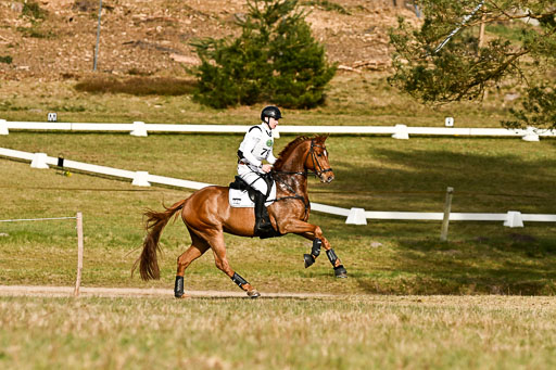  | 11042026 Intro _244 