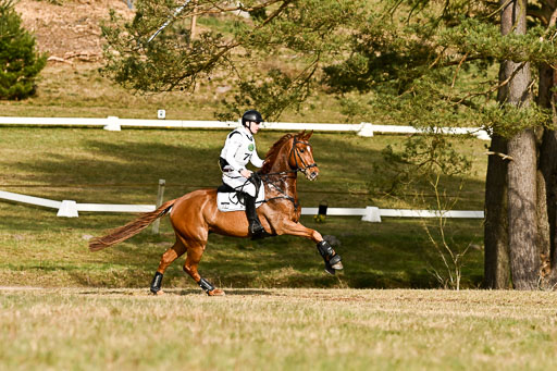 | 11042026 Intro _246 