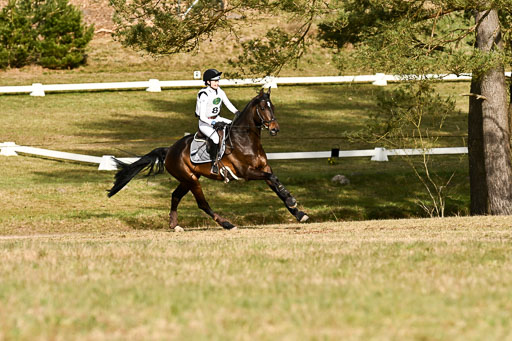  | 11042026 Intro _265 
