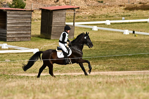  | 11042026 Intro _421 