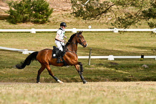  | 11042026 Intro _480 