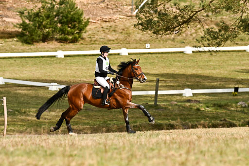  | 11042026 Intro _562 