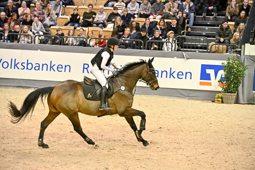  | 12022026 Indoor VS _113 