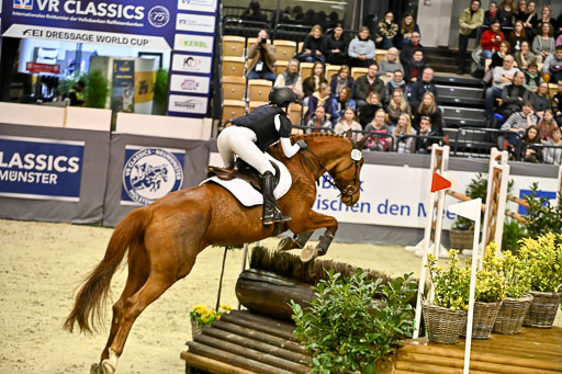  | 12022026 Indoor VS _345 