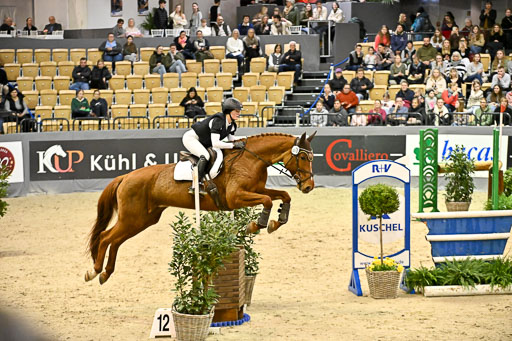  | 12022026 Indoor VS _368 