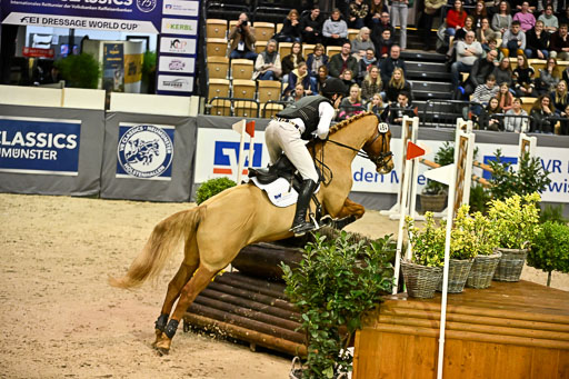  | 12022026 Indoor VS _378 