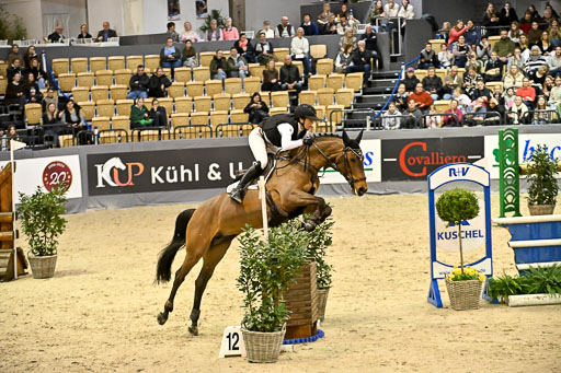  | 12022026 Indoor VS _460 