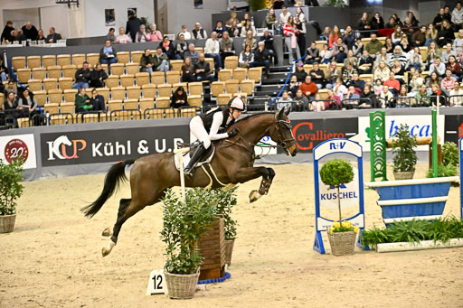  | 12022026 Indoor VS _513 