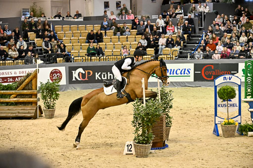  | 12022026 Indoor VS _768 