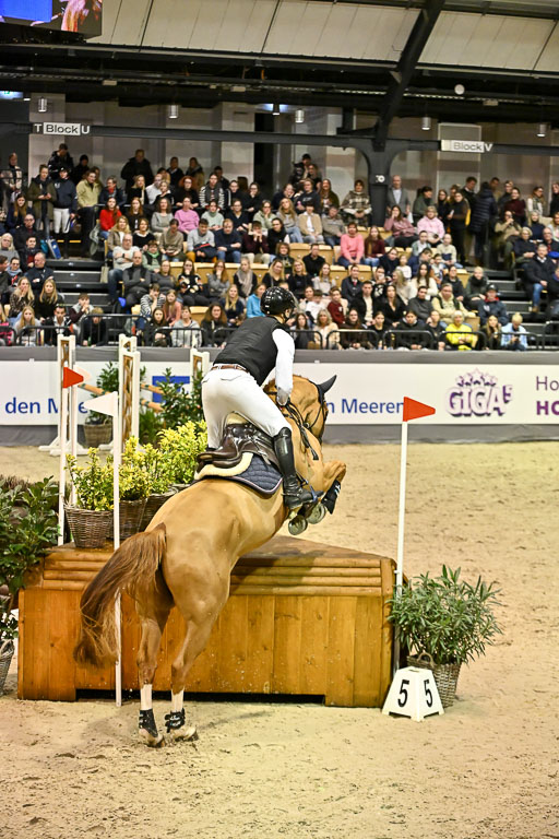  | 12022026 Indoor VS _797 