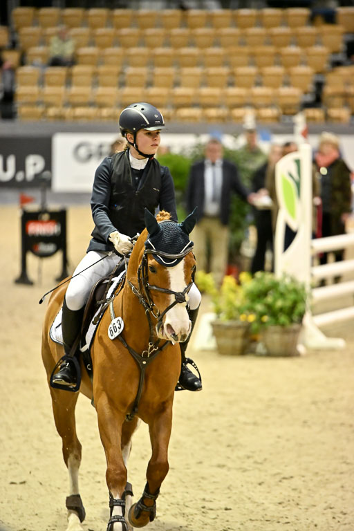 VR Classics Neumünster 2026 | 12022026 Pfg19 Pony A++ _002 