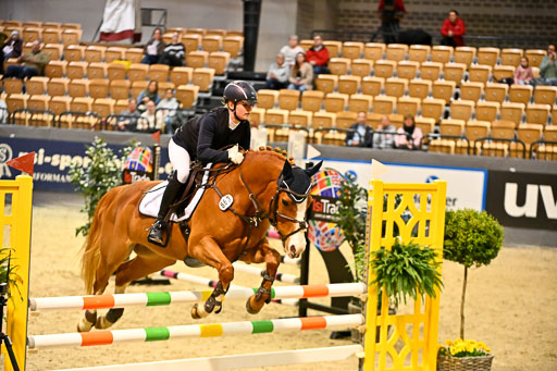 VR Classics Neumünster 2026 | 12022026 Pfg19 Pony A++ _005 