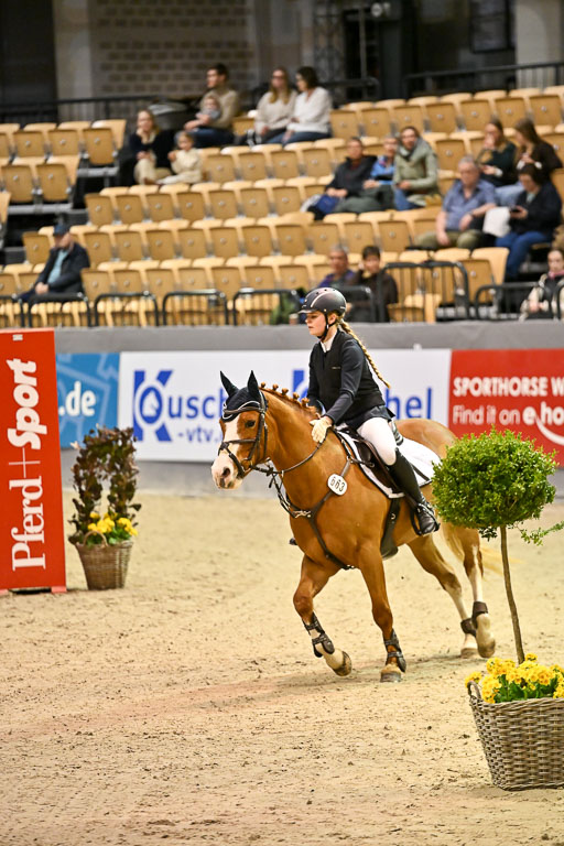 VR Classics Neumünster 2026 | 12022026 Pfg19 Pony A++ _006 