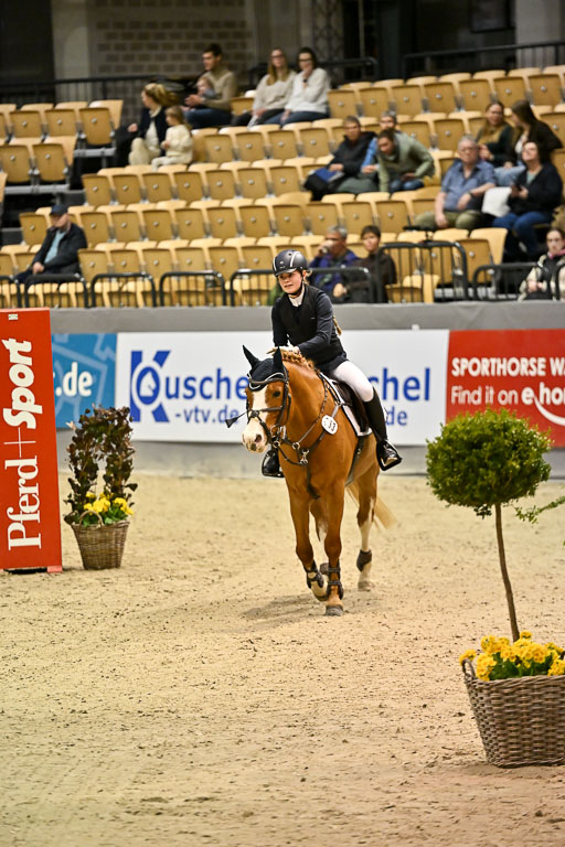 VR Classics Neumünster 2026 | 12022026 Pfg19 Pony A++ _007 