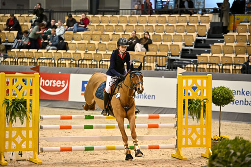 VR Classics Neumünster 2026 | 12022026 Pfg19 Pony A++ _014 