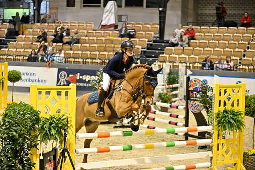 VR Classics Neumünster 2026 | 12022026 Pfg19 Pony A++ _015 