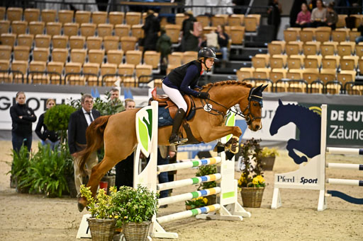 VR Classics Neumünster 2026 | 12022026 Pfg19 Pony A++ _016 