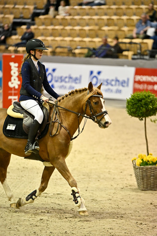 VR Classics Neumünster 2026 | 12022026 Pfg19 Pony A++ _017 