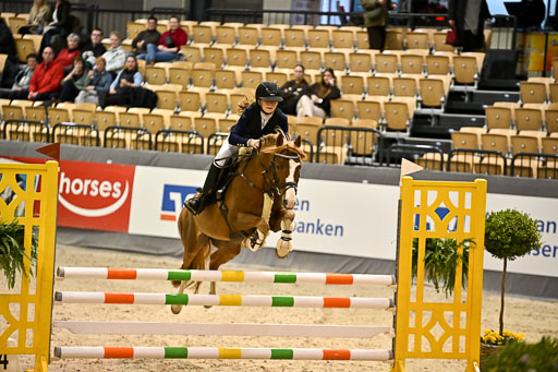VR Classics Neumünster 2026 | 12022026 Pfg19 Pony A++ _022 