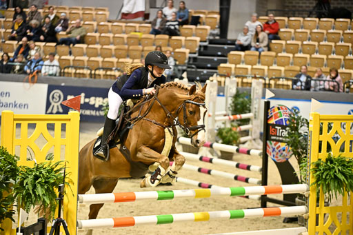 VR Classics Neumünster 2026 | 12022026 Pfg19 Pony A++ _023 