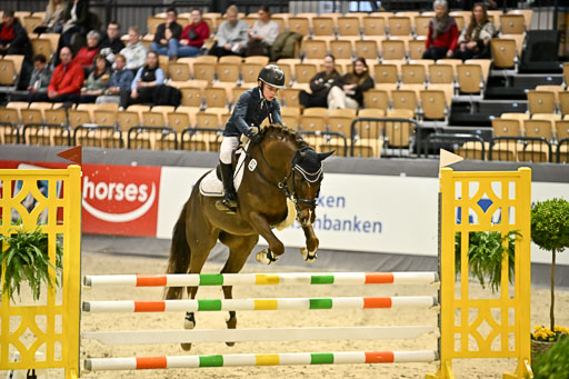 VR Classics Neumünster 2026 | 12022026 Pfg19 Pony A++ _031 