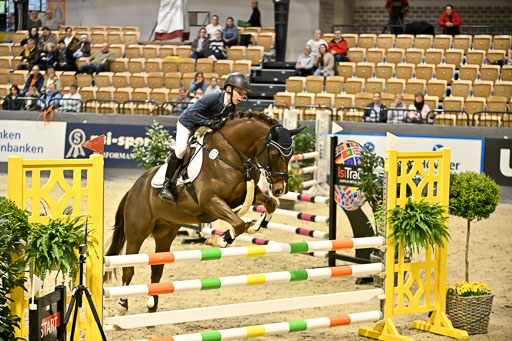 VR Classics Neumünster 2026 | 12022026 Pfg19 Pony A++ _032 