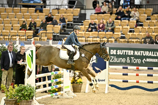VR Classics Neumünster 2026 | 12022026 Pfg19 Pony A++ _035 