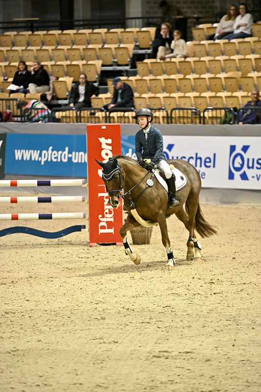 VR Classics Neumünster 2026 | 12022026 Pfg19 Pony A++ _036 