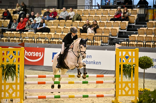 VR Classics Neumünster 2026 | 12022026 Pfg19 Pony A++ _043 