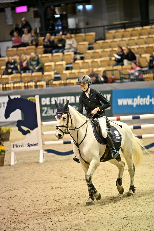 VR Classics Neumünster 2026 | 12022026 Pfg19 Pony A++ _051 