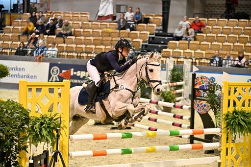 VR Classics Neumünster 2026 | 12022026 Pfg19 Pony A++ _058 