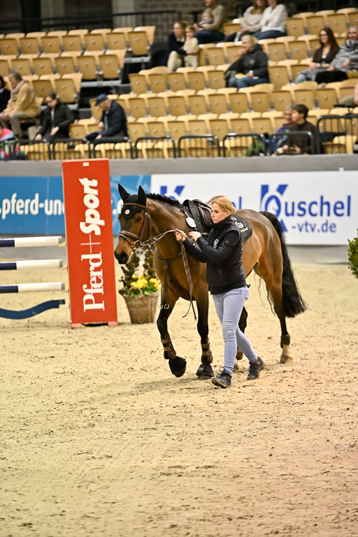 VR Classics Neumünster 2026 | 12022026 Pfg19 Pony A++ _066 