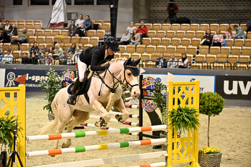 VR Classics Neumünster 2026 | 12022026 Pfg19 Pony A++ _074 