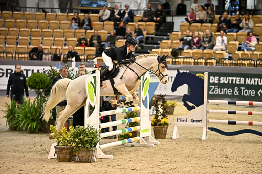 VR Classics Neumünster 2026 | 12022026 Pfg19 Pony A++ _075 