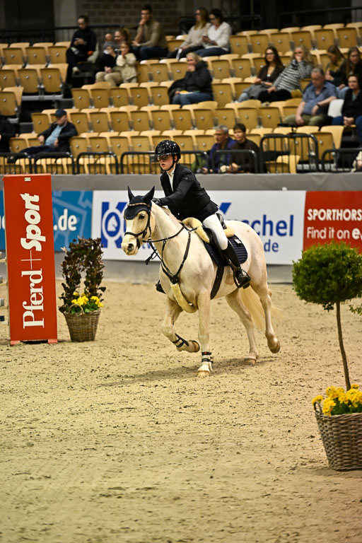 VR Classics Neumünster 2026 | 12022026 Pfg19 Pony A++ _076 