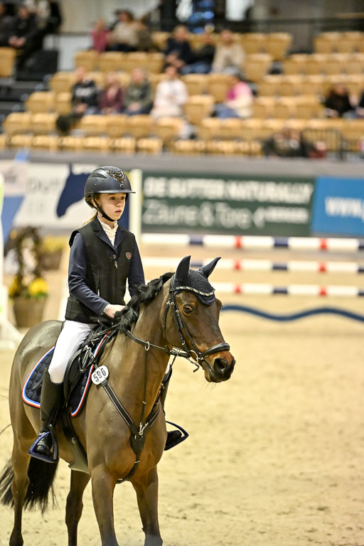 VR Classics Neumünster 2026 | 12022026 Pfg19 Pony A++ _081 