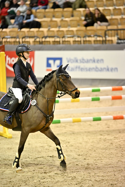VR Classics Neumünster 2026 | 12022026 Pfg19 Pony A++ _084 