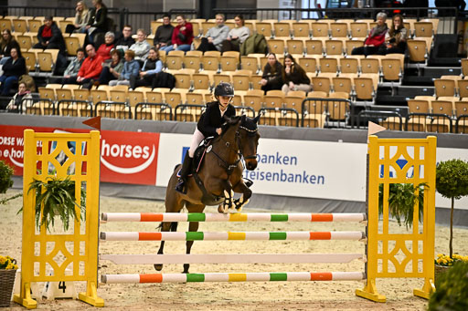VR Classics Neumünster 2026 | 12022026 Pfg19 Pony A++ _089 
