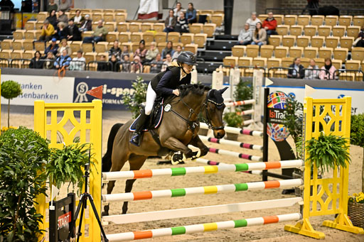 VR Classics Neumünster 2026 | 12022026 Pfg19 Pony A++ _092 