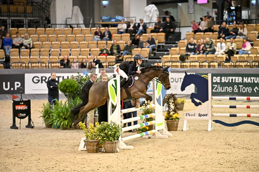 VR Classics Neumünster 2026 | 12022026 Pfg19 Pony A++ _093 